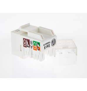 Toma hembra RJ45 UTP Categoria 6 blanca Excel