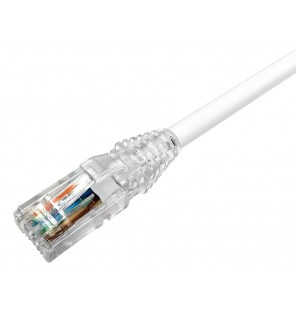 Latiguillo Cat6 UTP LSZH blanco. Commscope/AMP