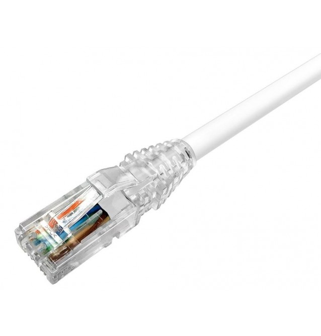 Latiguillo Cat6 UTP LSZH blanco. Commscope/AMP