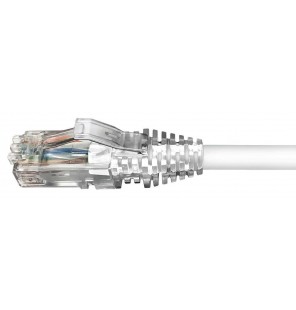 Latiguillo Cat6 UTP LSZH blanco. Commscope/AMP