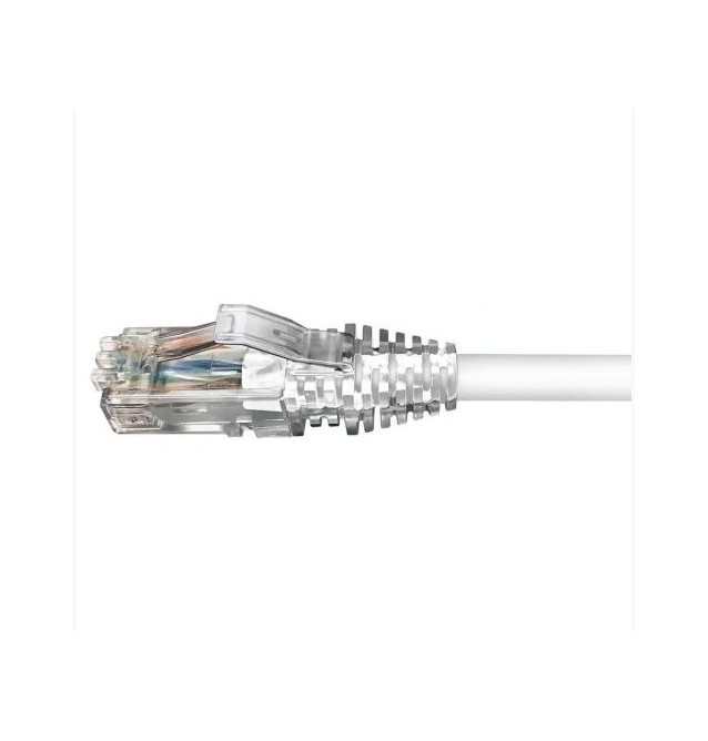 Latiguillo Cat6 UTP LSZH blanco. Commscope/AMP