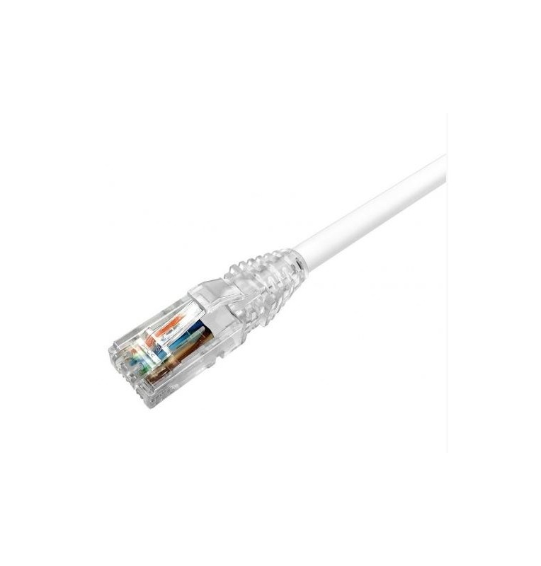 Latiguillo Cat6 UTP LSZH blanco. Commscope/AMP