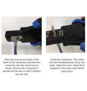 Toma hembra RJ45 UTP Categoria 6 blanca Excel