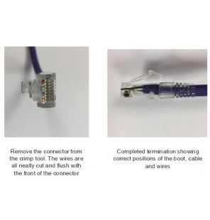 Toma hembra RJ45 UTP Categoria 6 blanca Excel