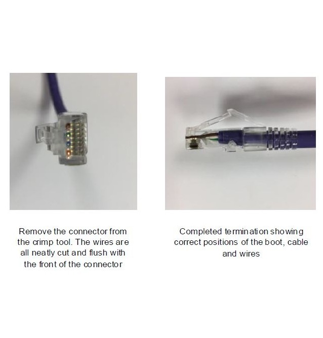 Toma hembra RJ45 UTP Categoria 6 blanca Excel