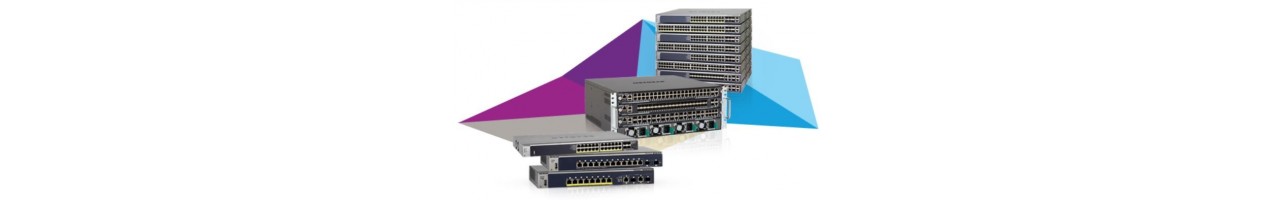 NetGear Switches