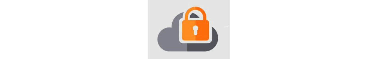 SonicWall Cloud App Security